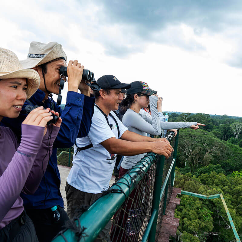FEATURE X CANOPY terra verde expeditions
