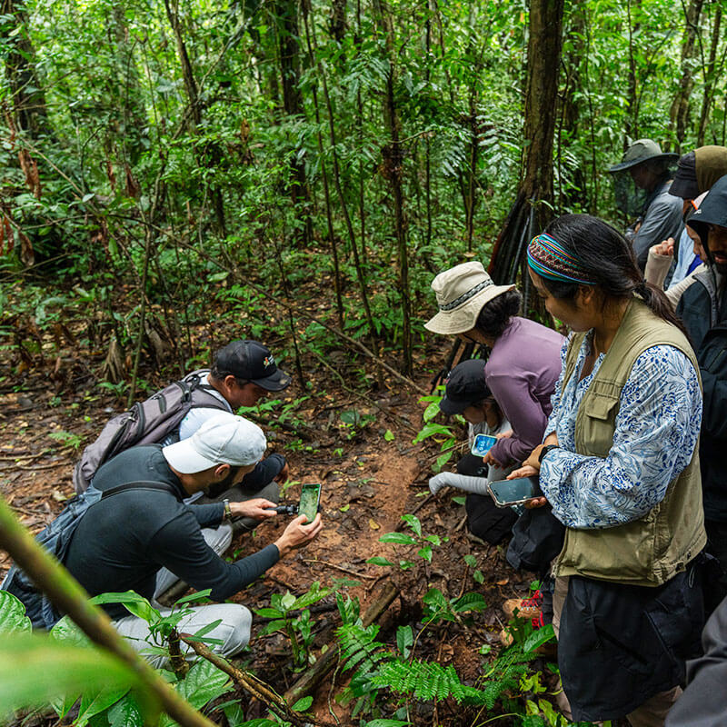 FEATURE X social project learning terra verde expeditions