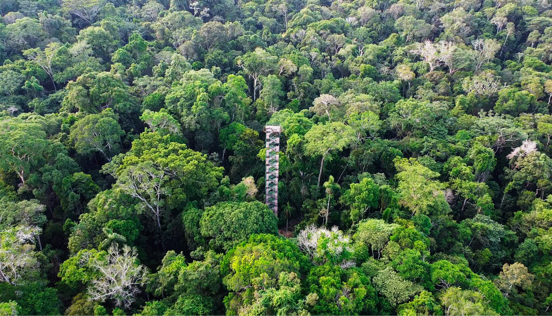 SLIDER dron canopy tower terra verde expeditions x