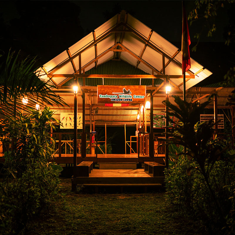 tours x tambopata wildlife center facilities