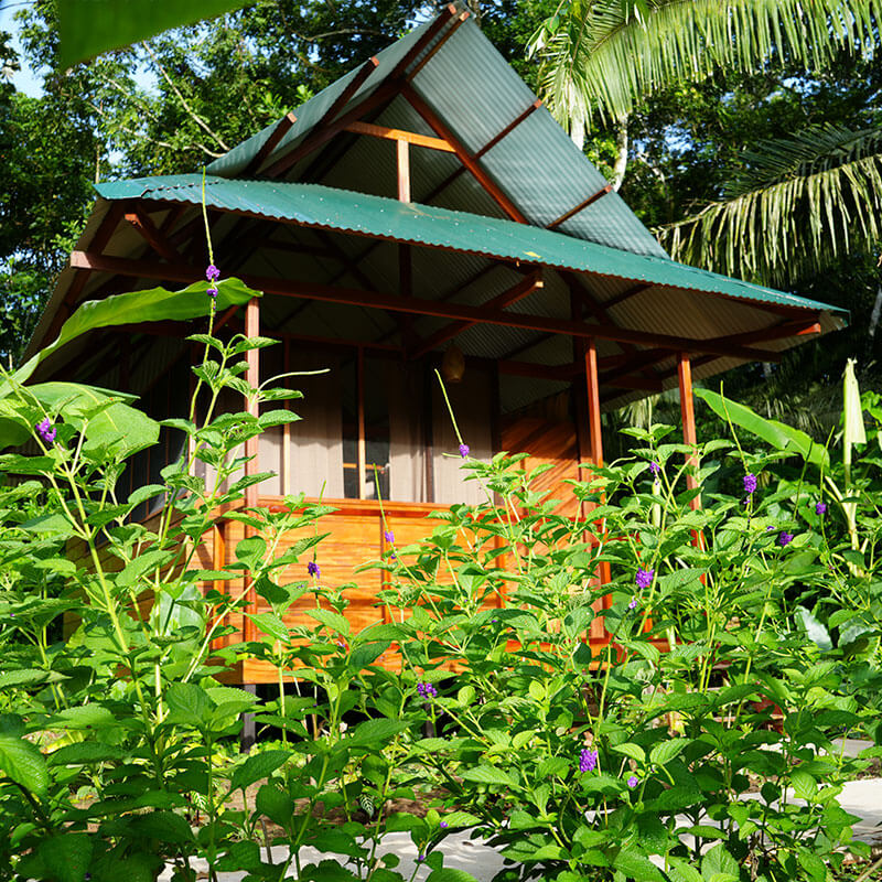 tours x terra verde lodge room
