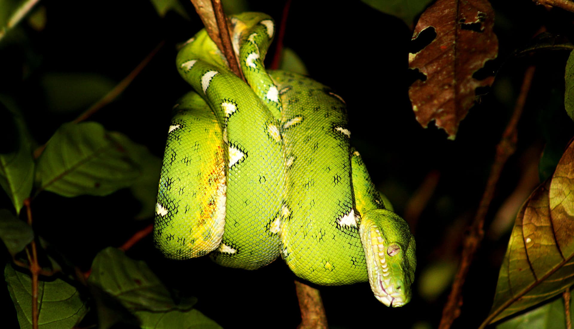 SLIDER X terra Verde expeditions lake sandoval snacke boa esmeralda