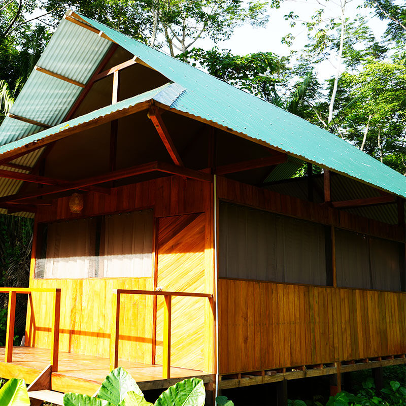 tours x terra verde lodge room